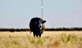 State Highway 214, Adrian, TX 79001