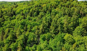 Camp Brook Road lot Map 30 Lot 67A, Alstead, NH 03602