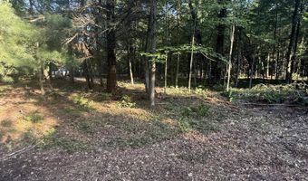 Michael Drive, Alger, MI 48610