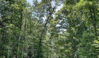 359 Allen Sells Ln, Alpine, TN 38543