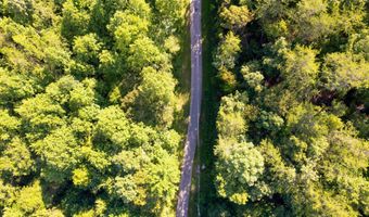 Steve Brown Rd, Bean Station, TN 37708