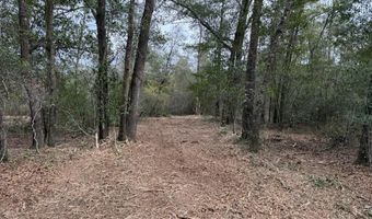 Pasofino Lane, Alford, FL 32420