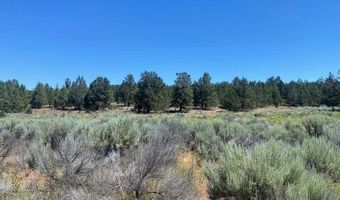 5879 W Langell Valley Rd, Bonanza, OR 97623