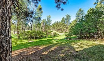 99 Mountain Oak Dr, Bayfield, CO 81122