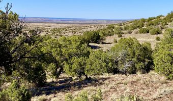 Tbd Co Rd 5062 Lot 1 3.53 Acres, Concho, AZ 85924