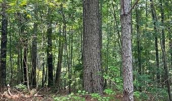 CR 1401, Booneville, MS 38829