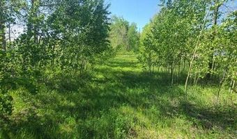 8 Waterfront Lots On Lake Hemming, Bottineau, ND 58318