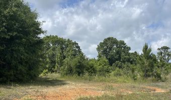 A-1 Long Branch Farm Road, Baker, FL 32531
