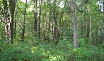 1454 Crane Ln, Woodhull, NY 14801