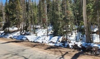 653 N HWY 143, Brian Head, UT 84719