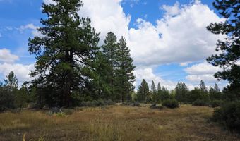 Swan Drive 16 & 17, Bonanza, OR 97623