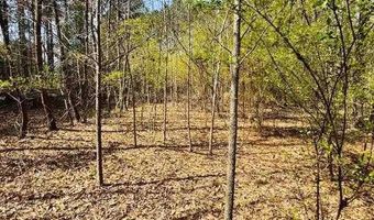 2299 E Main St Ext, Bennettsville, SC 29512