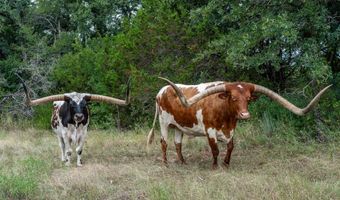 2707 County Road 247, Hico, TX 76457