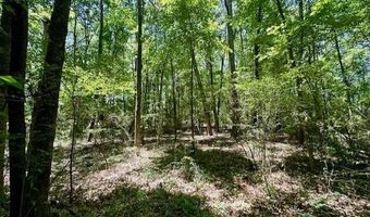 NE Williams Street, Brookhaven, MS 39601