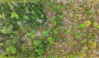 Channel Drive, Alford, FL 32420