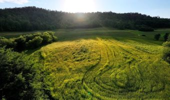 TBD Bear Pen Rd, Arkansaw, WI 54721