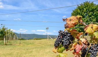 9175 BATESVILLE Rd, Afton, VA 22902