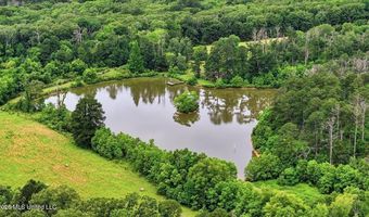 Vine Drive, Brandon, MS 39047