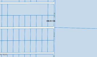210-06 005 & 206-51-136, Chambers, AZ 86502