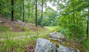 100 Block SPANISH MINE, Jessieville, AR 71909
