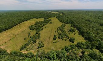 County Road 113, Alton, MO 65606