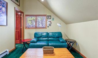 463 Blue Flag Cir, Breckenridge, CO 80424