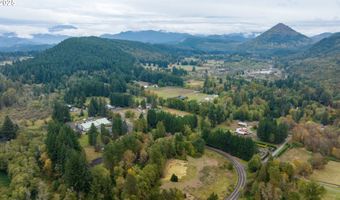 NE Yale Bridge Rd, Amboy, WA 98601