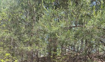 133 Lakeview Walk, Baldwin, GA 30511