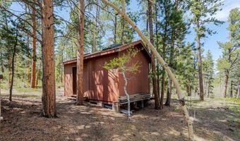 104 County Road 90, Allenspark, CO 80510