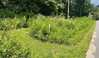 0 Martins Creek Rd, Barnardsville, NC 28709
