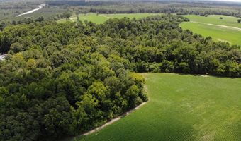 Tbd Cottingham Boulevard N, Bennettsville, SC 29512