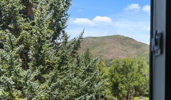 950 VINE St, Aspen, CO 81611