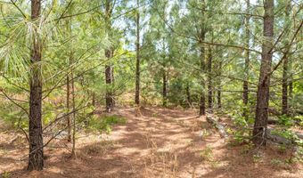 Ahart Ridge Rd lot 58 60 61, Ararat, VA 24053