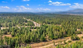 L13B1 Leonard Loop, Athol, ID 83801