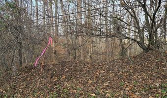 00001 Hwy 369, Ball Ground, GA 30107