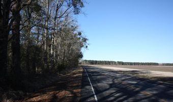 2650 Joe Miley Rd, Brunson, SC 29911