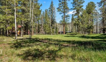 7 County Rd 2044, Alpine, AZ 85920