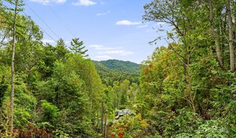 244 Mcmahon Ln, Bakersville, NC 28705