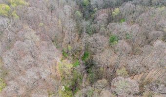 E Captina Highway Road, Alledonia, OH 43902
