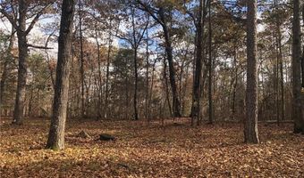 209 Alice Moss Ln, Alto, GA 30510