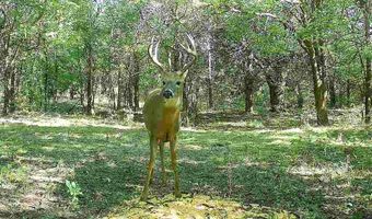 W Sun City Rd, Arlington, KS 67514