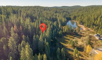 2253 Meadow Dr, Arnold, CA 95223