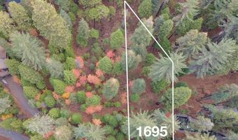 1695 Manzanita Dr, Arnold, CA 95223