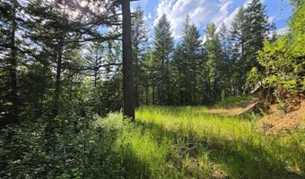 480 Dunn Peak Rd, Avery, ID 83802