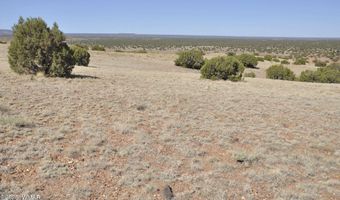14 CR 5525, Concho, AZ 85924