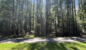 9918 Canady Landing Rd, Aurora, NC 27806