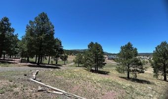 450 County Road 2104, Alpine, AZ 85920