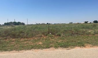 1970 SE 5101, Andrews, TX 79714