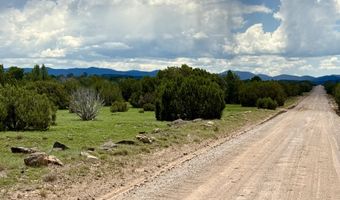 127 Co Rd 8051, Concho, AZ 85924