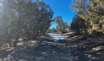 132 White Tail Pl, Arboles, CO 81121